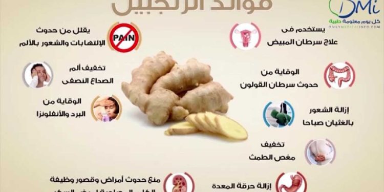 فوائد شرب شاي الزنجبيل