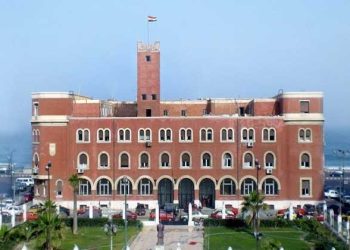 جامعة الإسكندرية